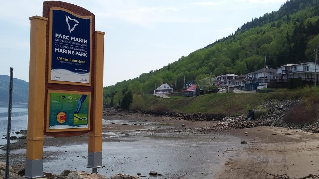 Apartement Mirador Du Fjord LʼAnse-Saint-Jean エクステリア 写真