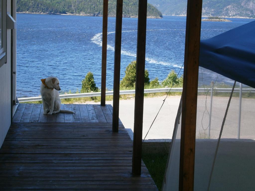 Apartement Mirador Du Fjord LʼAnse-Saint-Jean エクステリア 写真
